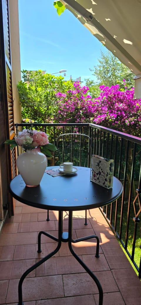 Ai tre tigli con giardino privato Apartment in Numana