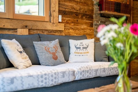 Appartement chaleureux, massif des Aravis Apartment in Haute-Savoie