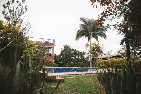 Garden, Swimming pool