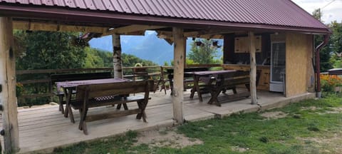 Garden, Balcony/Terrace, kitchen