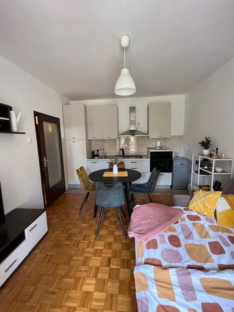 Bed, TV and multimedia, Kitchen or kitchenette, Living room, Seating area, Dining area