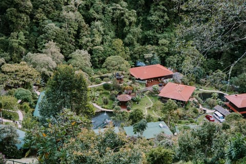 Property building, Garden view