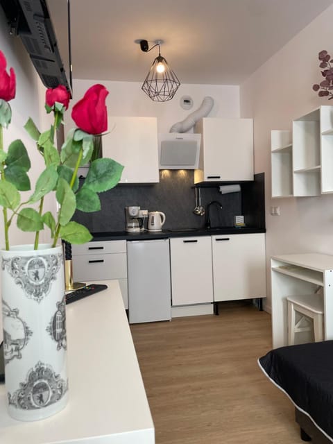 Coffee/tea facilities, Kitchen or kitchenette, pet friendly