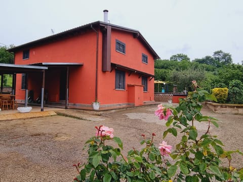 Property building, Spring, Garden, Garden view