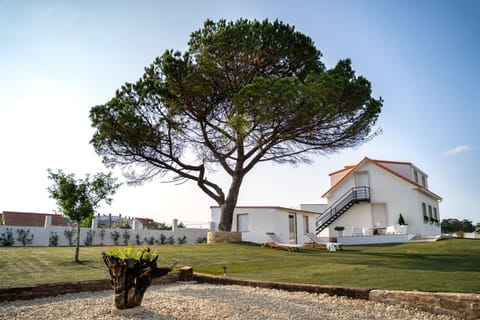 Day, Natural landscape, Garden, Garden, Garden view