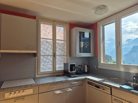 Chalet Aargovia South Apartment in Lauterbrunnen