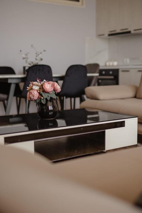 City Center Apartment Scutari Apartment in Montenegro