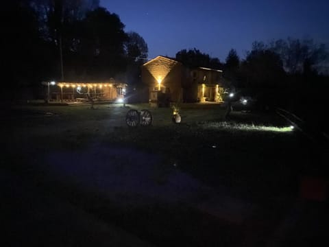 Night, Garden view
