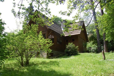 Property building, Natural landscape, Garden, Garden view