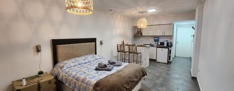 Photo of the whole room, pet friendly