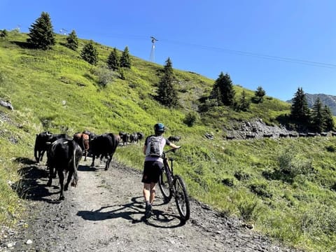 Petit studio à Lourtier Apartment in Bagnes