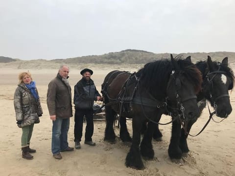 Vrijvakantiehuis Schuurmanstraat 133 House in Domburg