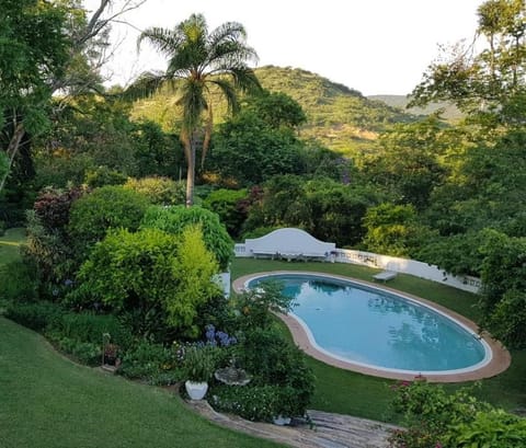 Garden, Swimming pool, Swimming pool