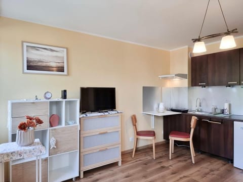 TV and multimedia, stove
