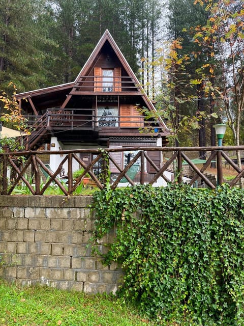 Property building, Garden view