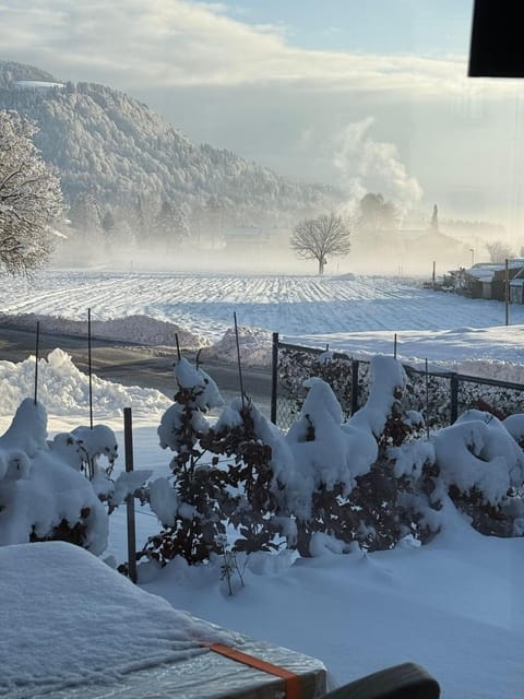 Day, Natural landscape, Winter, View (from property/room), Garden view, Mountain view, Street view