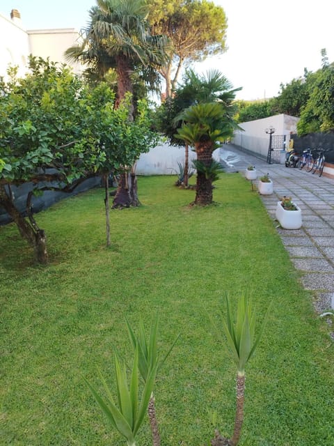 Spring, Day, Natural landscape, Garden, Garden view