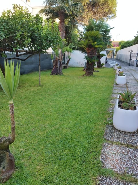 Spring, Day, Natural landscape, Garden, Garden view