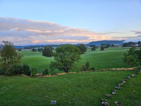 View (from property/room), View (from property/room)