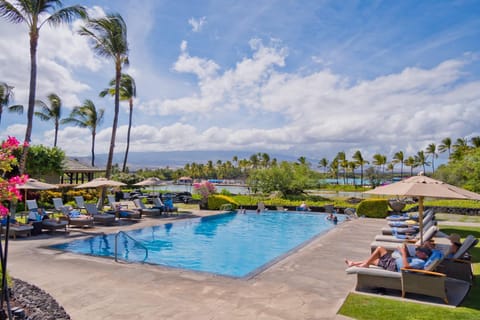Pool view, Swimming pool, sunbed