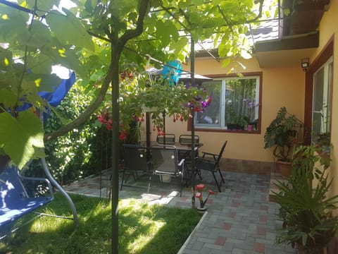 Balcony/Terrace, Garden view