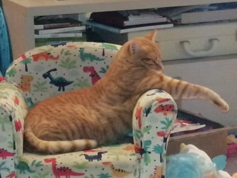 La Quinta Decima Bioagriturismo Farm Stay in Tuscany