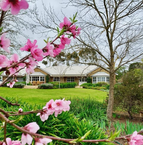 Property building, Spring, Natural landscape, Garden, Garden view