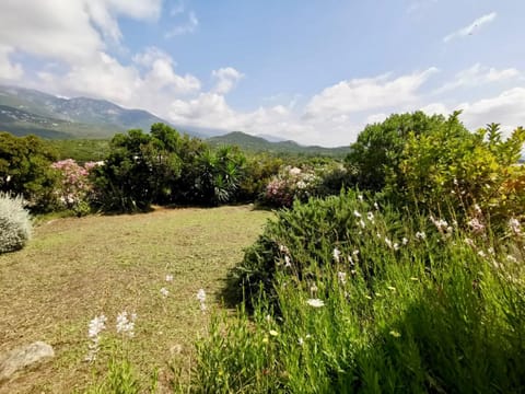 Natural landscape, Garden, Garden view, Mountain view