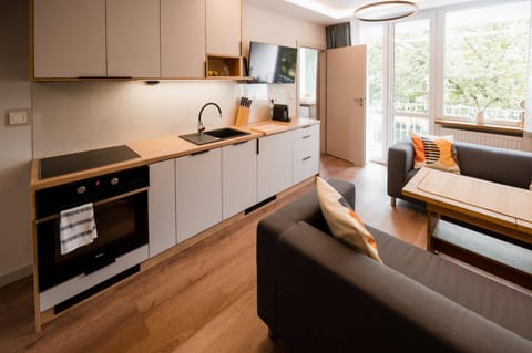 TV and multimedia, Balcony/Terrace, Kitchen or kitchenette, Living room, Seating area, Dining area, pet friendly, stove