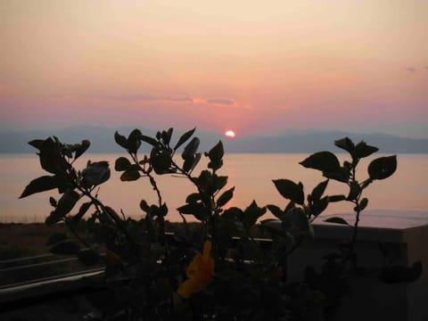 Natural landscape, Sea view, Sunset