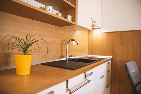 Kitchen or kitchenette, pet friendly, stove