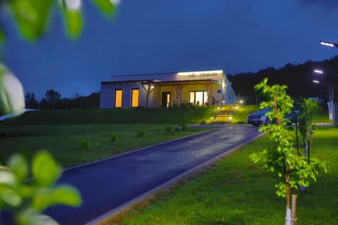 Property building, Night, Natural landscape, Garden