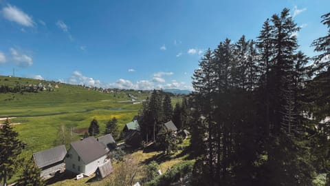 Lux JL apartment Apartment in Montenegro