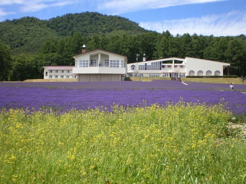 Property building, Natural landscape, Garden
