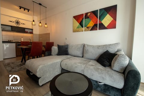 Petković apartmani 48 Apartment in Serbia