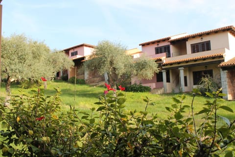 Property building, Day, Garden