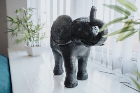 Beautiful apartment dos - free public parking Apartment in Liverpool