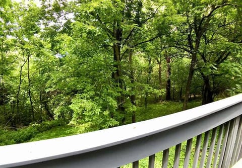 Oak Crest – Mountain Chalet/#9 Apartment in Eureka Springs