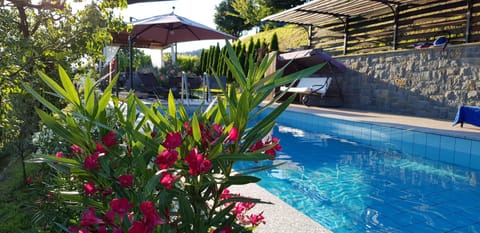 On site, Swimming pool, Location