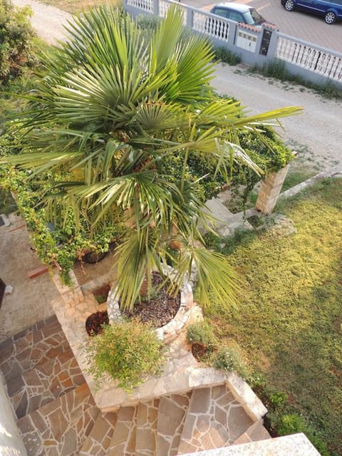 Bird's eye view, Garden, Balcony/Terrace