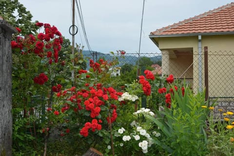 B&B Ana Apartment in Podgorica Municipality, Montenegro