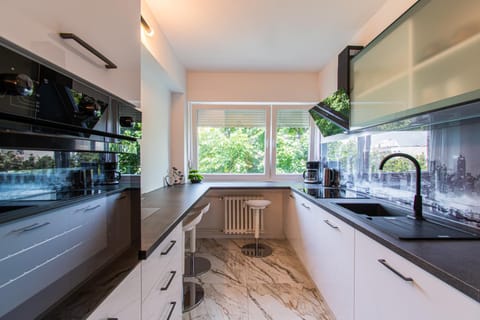 Kitchen or kitchenette, oven, stove