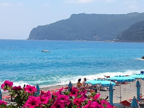Natural landscape, Beach, Sea view