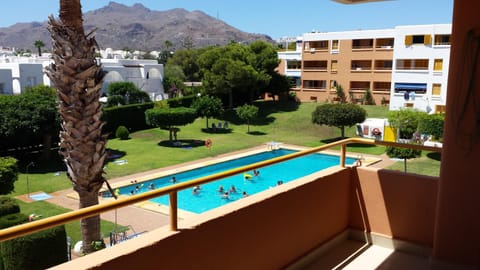 Garden, Swimming pool