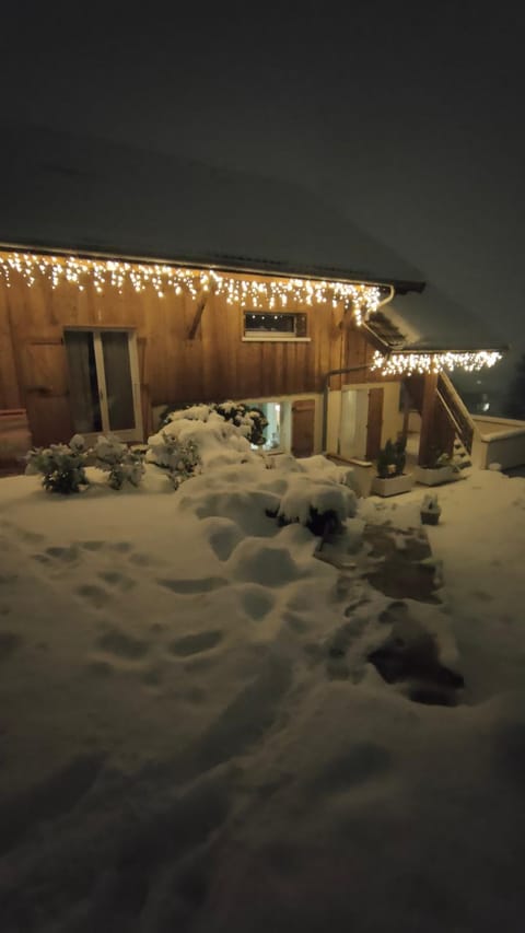Property building, Night, Winter