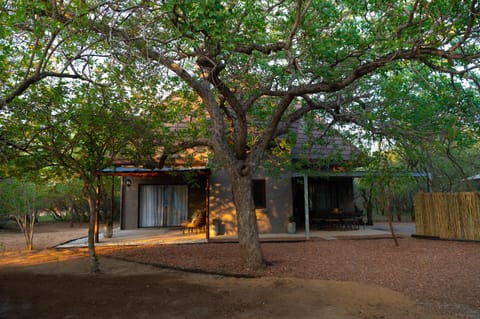 Property building, Natural landscape, Garden, Garden view