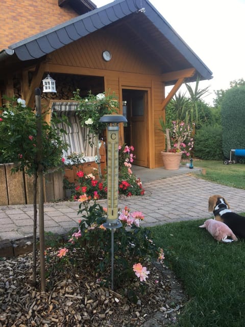 Gästehaus Nelles Apartment in Bad Neuenahr-Ahrweiler