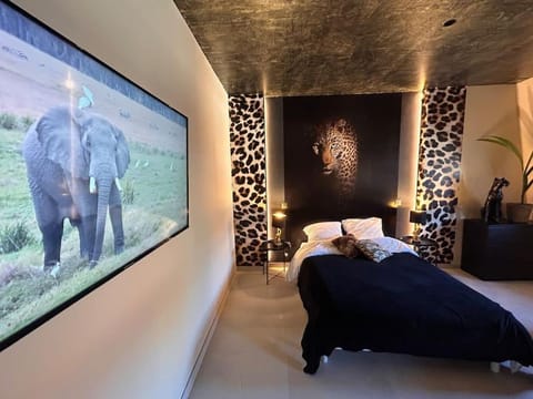 Esprit AFRICA, SPA et SAUNA de luxe Apartment in Mulhouse