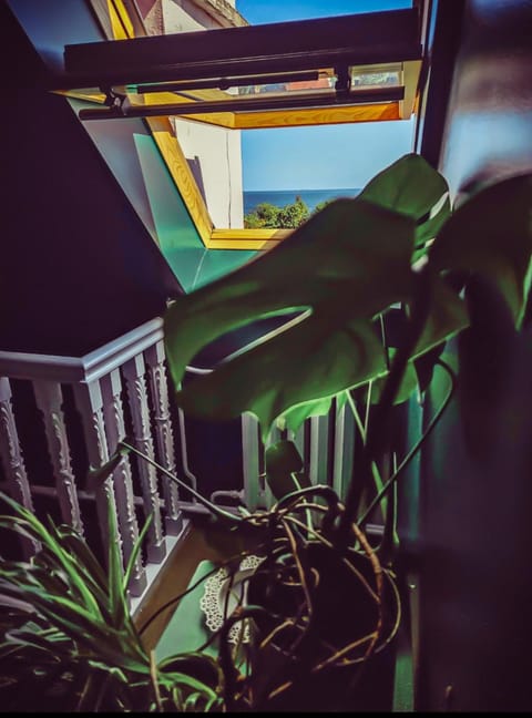 View (from property/room), Balcony/Terrace