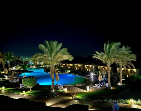 Night, Garden, Garden view, Pool view, Swimming pool